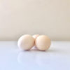 Silkie Chicks - Image 2