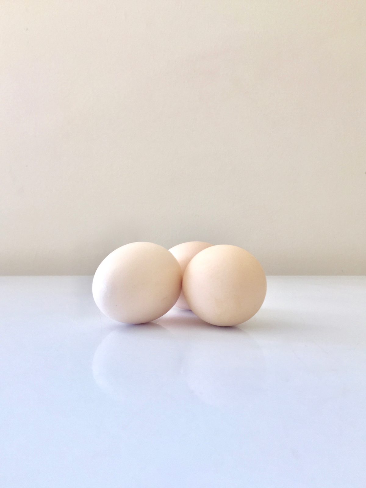 6 SILKIE  Chicken Hatching Eggs 