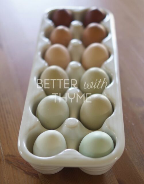 Colorful Egg Basket Hatching Eggs