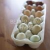 Colorful Egg Basket Hatching Eggs - Image 2