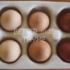 Colorful Egg Basket Hatching Eggs - Image 4