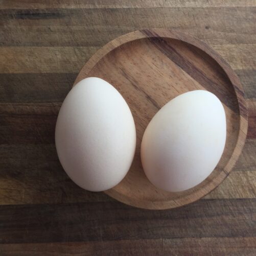 Bresse hatching eggs