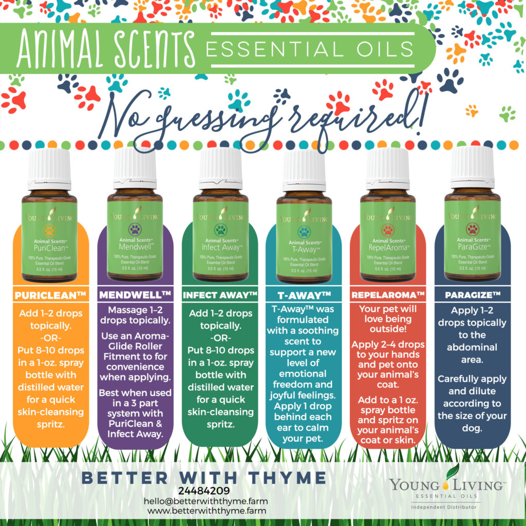 Using Essential Oils with Dogs Better With Thyme