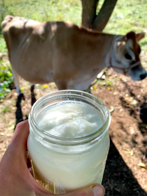 Milk with foam