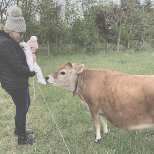 Farm Tour